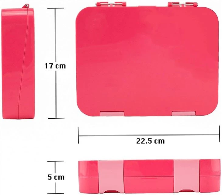 Big Bento Box